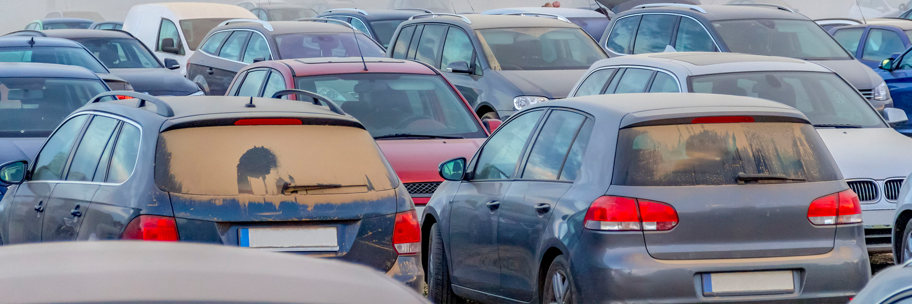 an image which goes with the story Don’t let your new stock get dusty