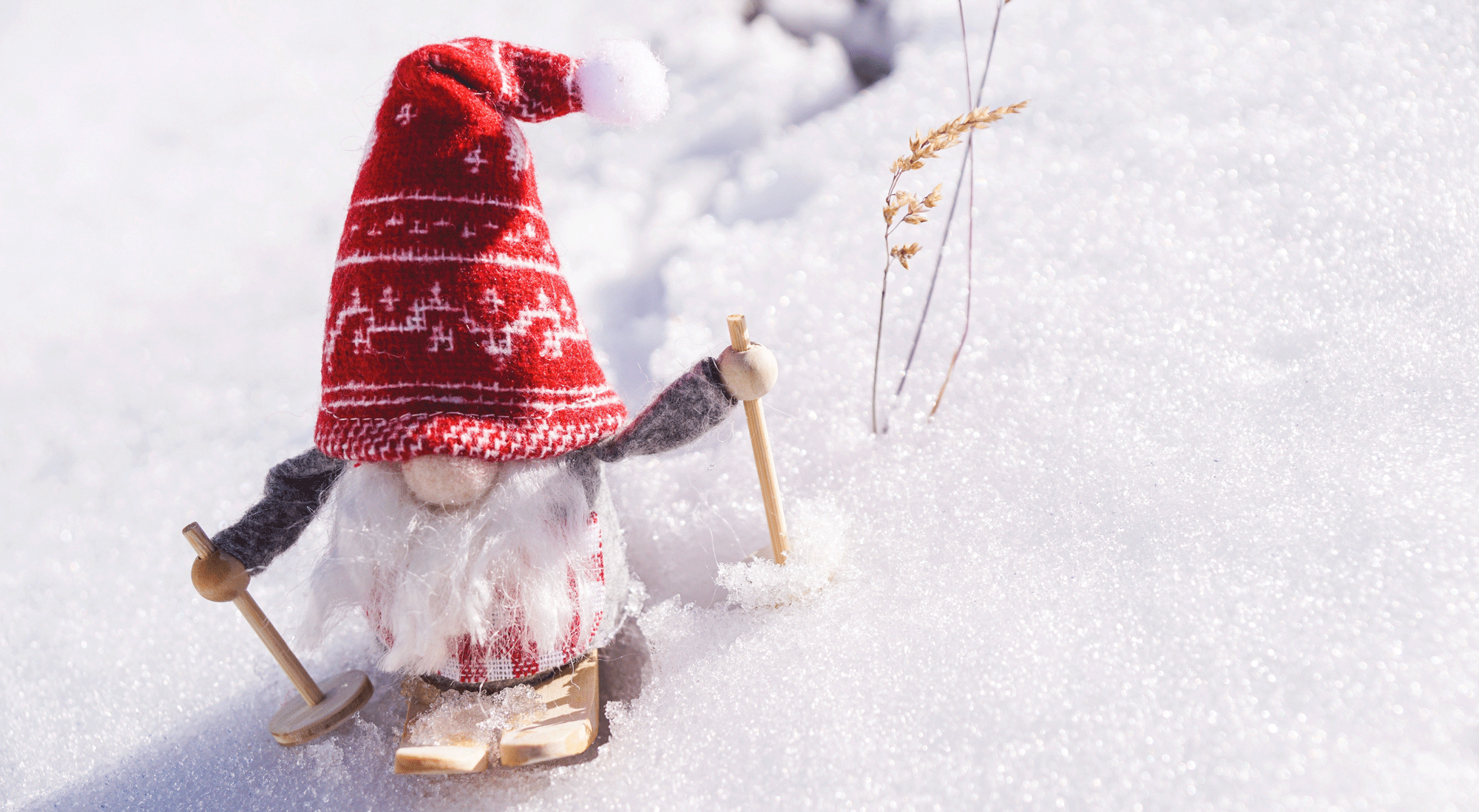 an image which goes with the story Our Christmas presence